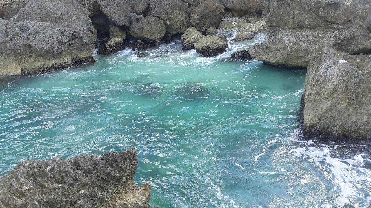 ZEN'O devilla Sainte-Anne (Grande-Terre) Exterior foto